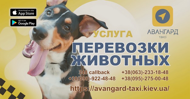 Зоотакси в Киеве